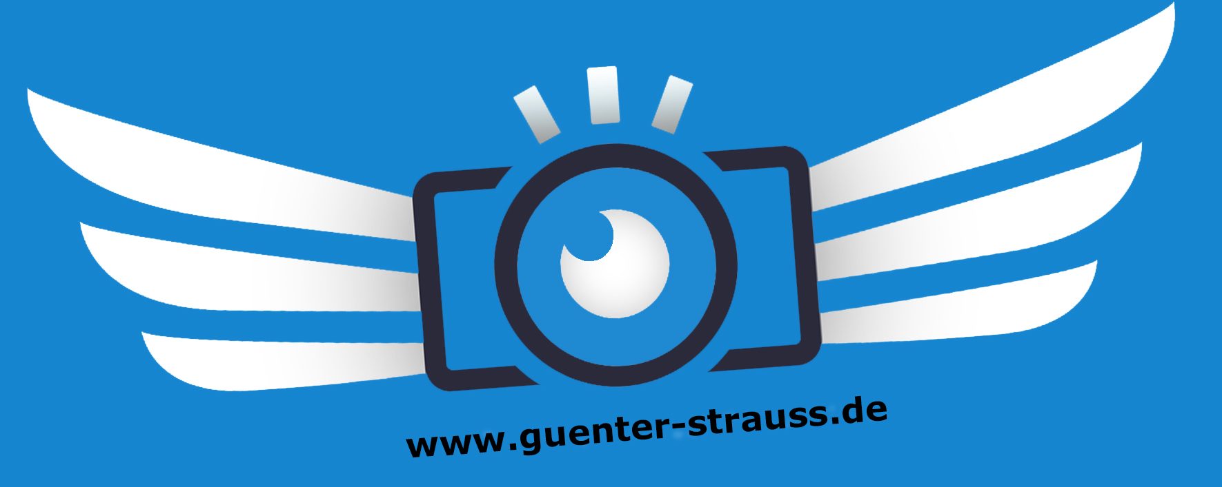 guenter-strauss